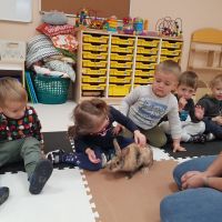 dzien królika miniaturki (6)