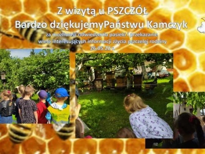 Z wizytą w pszczelej pasiece 26.05.22 r. grupa Słoneczka (6)